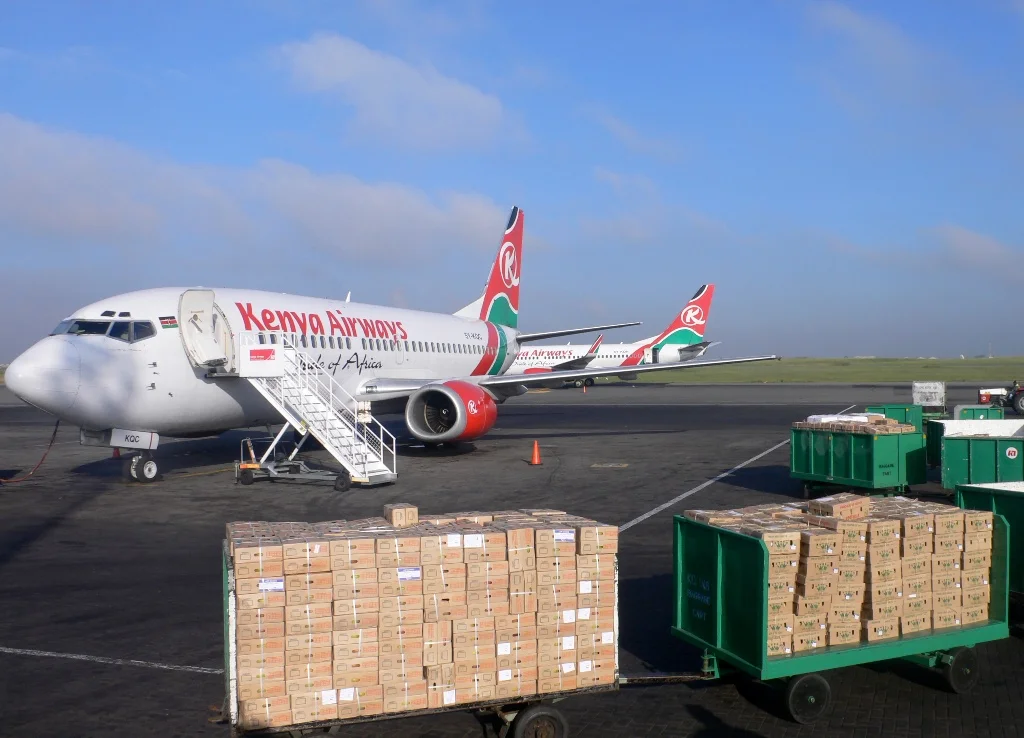 Авиаперевозки в Кению