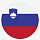 Грузоперевозки в Словению из России