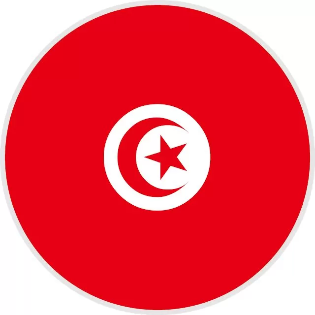 Грузоперевозки в Тунис из России