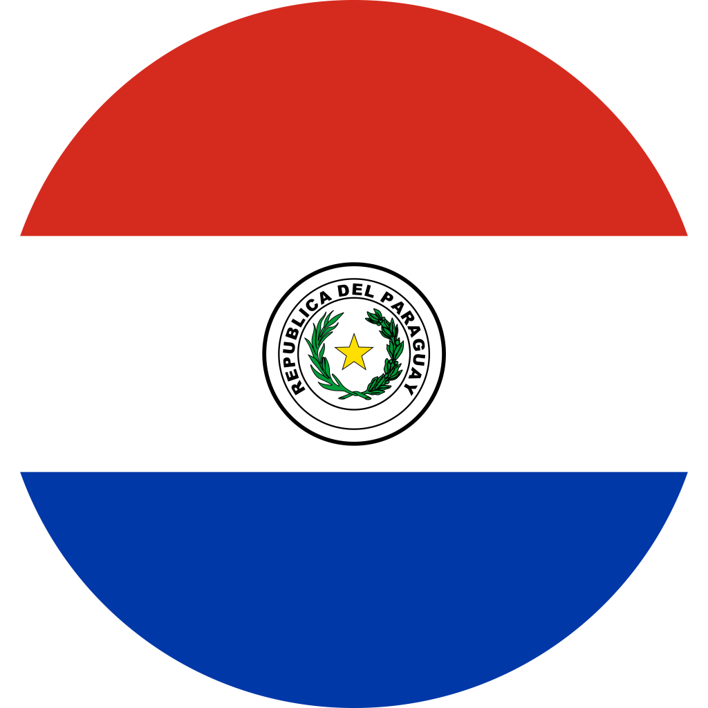 Грузоперевозки в Парагвай из России